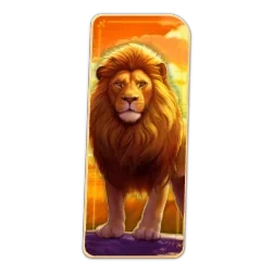 Lion
Safari